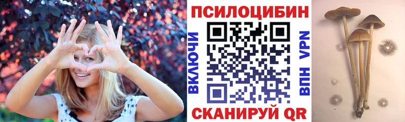 Галлюциногенные грибы мицелий  Сегежа 