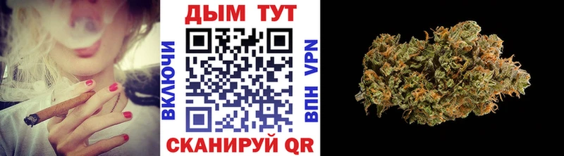 купить  цена  Сегежа  Марихуана SATIVA & INDICA 
